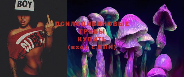 СК Балахна