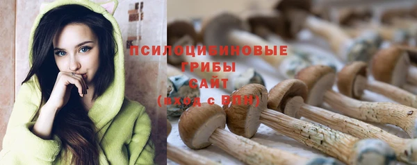 молекула духа Баксан