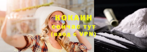 СК Балахна