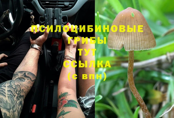 молекула духа Баксан