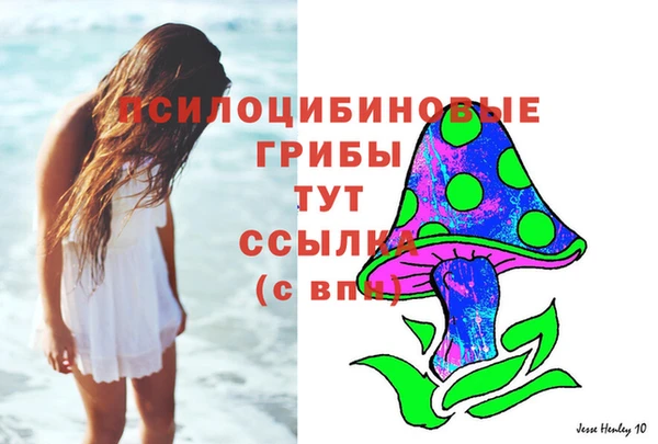 молекула духа Баксан